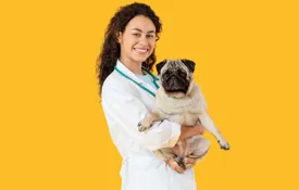 Vet Shutterstock 2617624735