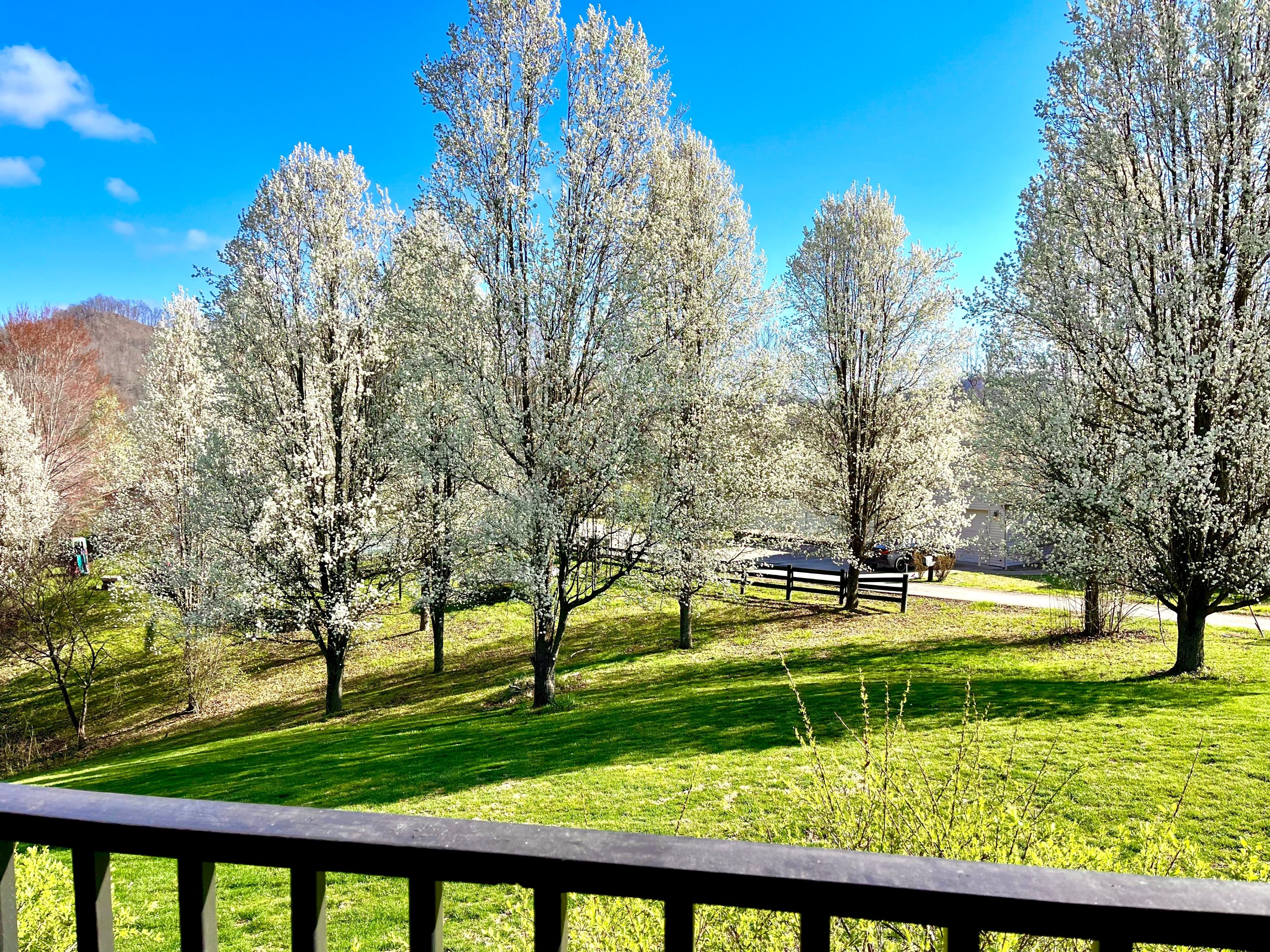 Eatern Kentucky Shutterstock 2525182331