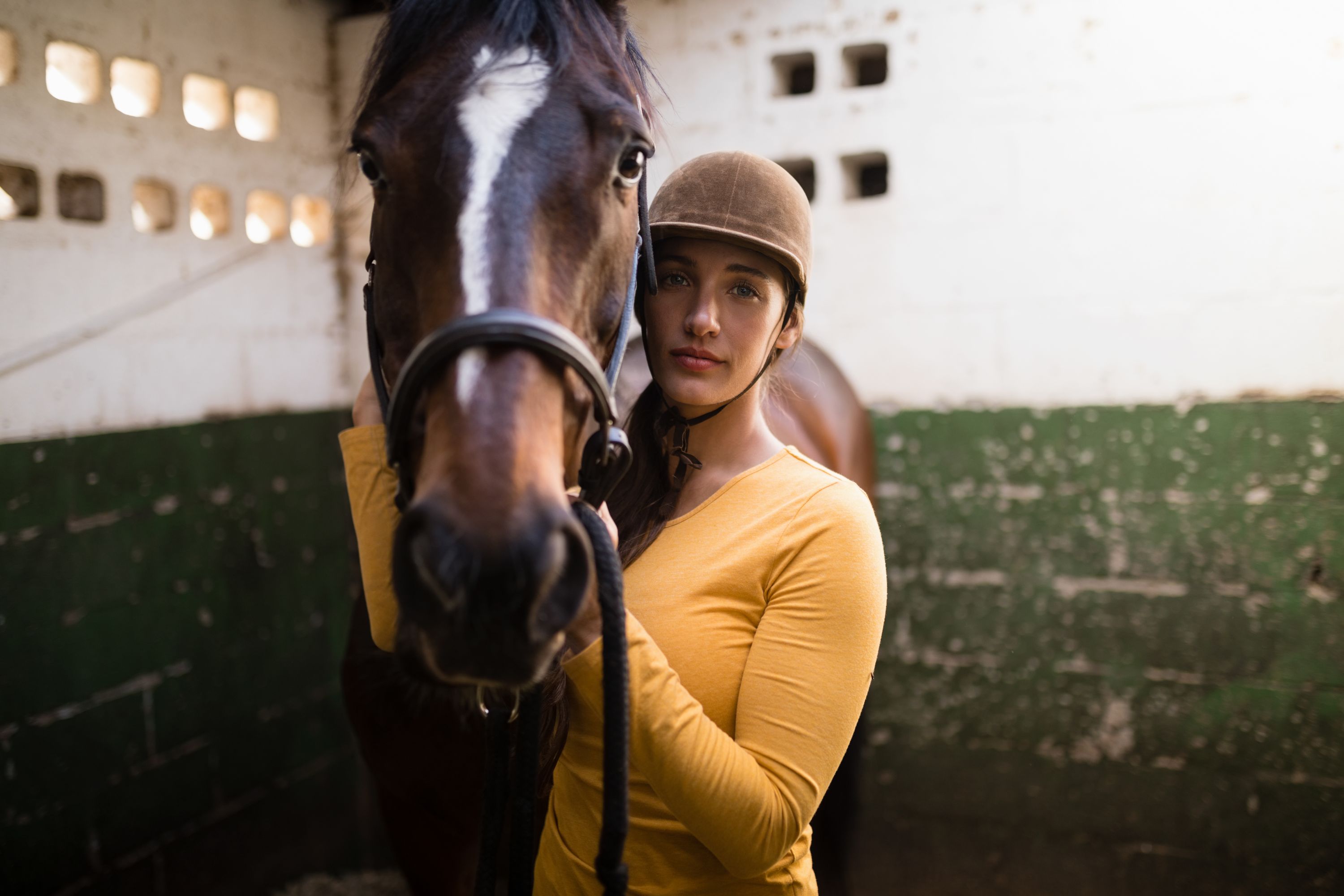 Horse Yellow Shutterstock 695786872